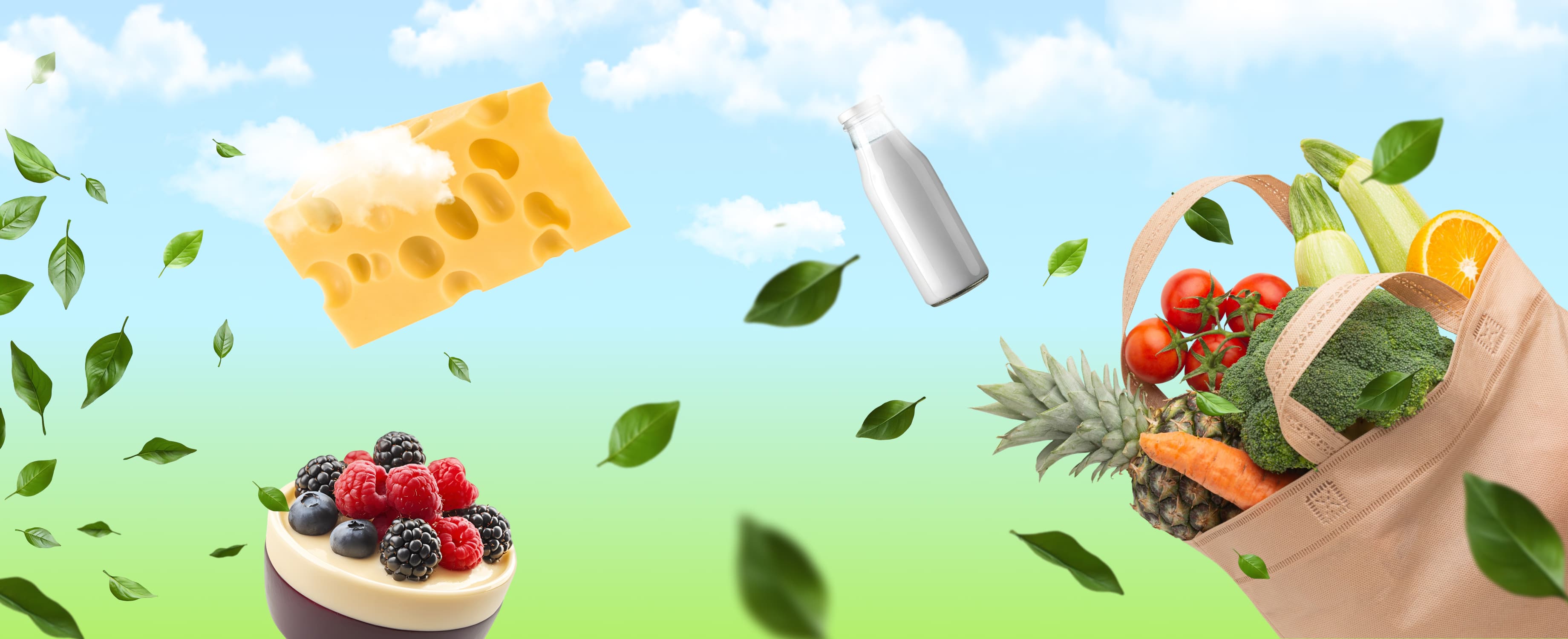 Ecoferma